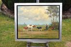 Hub van Winkel uit Hamont-Achel,koeien en kippen in de weide, Ophalen of Verzenden