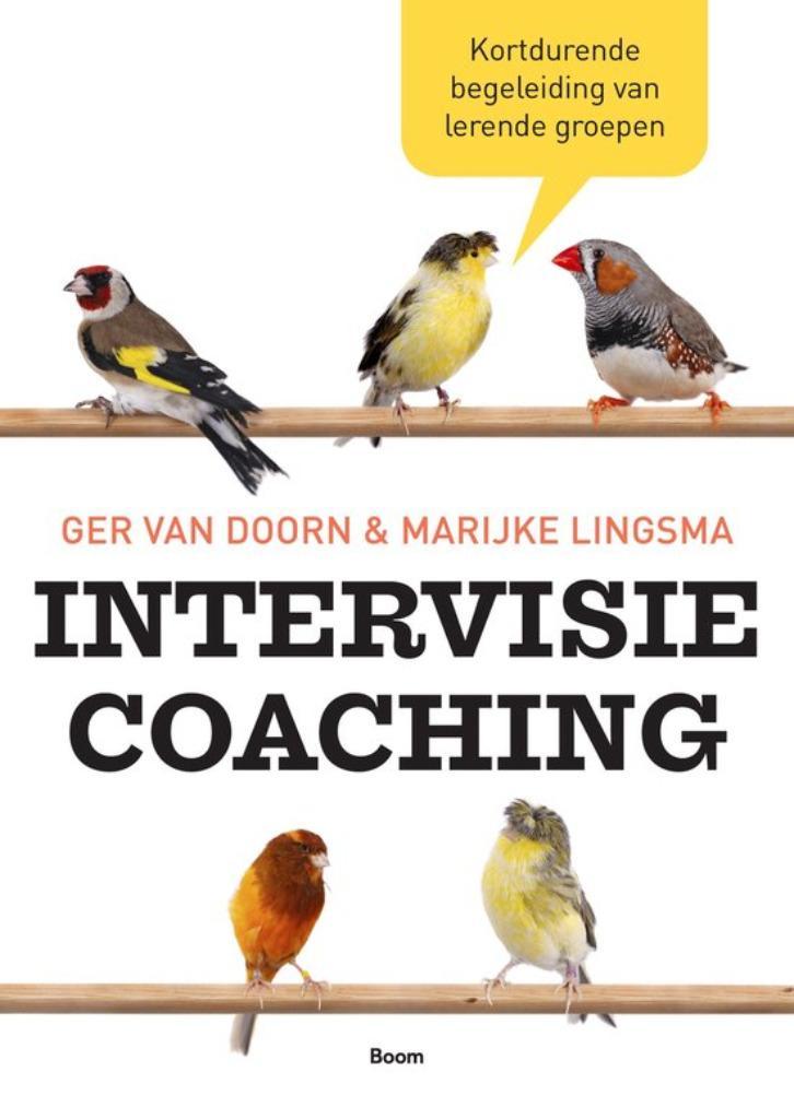 Intervisie coaching - Ger van Doorn en Marijke Lingsma, Boeken, Overige Boeken, Zo goed als nieuw, Verzenden