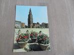 Groningen, martini toren met grote markt, Groningen, Ongelopen, Verzenden