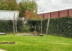4x robinia paal 300cm, Ophalen, Zo goed als nieuw, 250 cm of meer, Palen