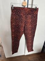 Studio Anneloes startup snake broek mt S, Ophalen of Verzenden, Zo goed als nieuw, Maat 38/40 (M), Lang
