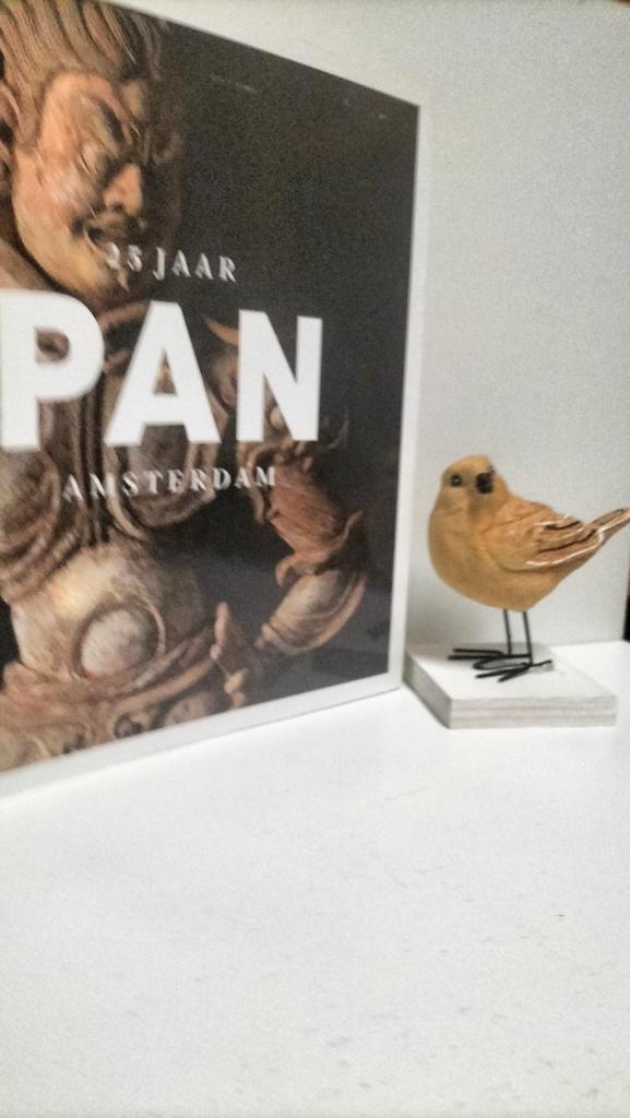 Pan, Pan Amsterdam 25 jaar (Catalogus 2011), Boeken, Kunst en Cultuur | Beeldend, Gelezen, Ophalen of Verzenden