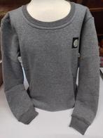 Trui Grijs, Kinderen en Baby's, Kinderkleding | Maat 158, Ophalen of Verzenden, Zo goed als nieuw