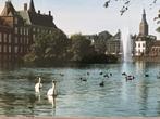 Den Haag Hofvijver  ca 1980, Ophalen of Verzenden, Voor 1920, Ongelopen, Zuid-Holland