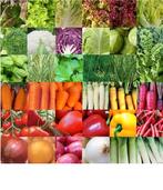 10 opgekweekte groente plantjes voor de tuin Martijn v Oers., Tickets en Kaartjes, Eén persoon, Cadeaubon