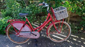 Cortina U4, type lief. 28 inch & framehoogte 56cm beschikbaar voor biedingen