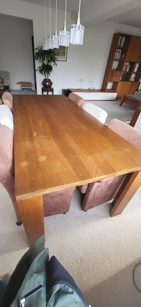 eettafel, Huis en Inrichting, Tafels | Eettafels, Gebruikt, 100 tot 150 cm, 200 cm of meer, Vijf personen of meer, Rechthoekig