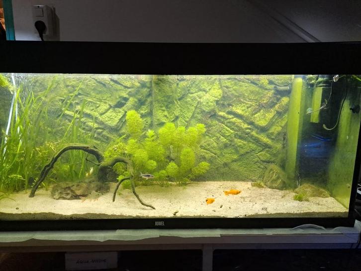 Juwel Rio 240, Dieren en Toebehoren, Vissen | Aquaria en Toebehoren, Zo goed als nieuw, Leeg aquarium, Ophalen of Verzenden