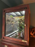 Houten Terrarium 60x50x80cm incl achterwant, plant en lamp, Dieren en Toebehoren, Reptielen en Amfibieën | Toebehoren, Ophalen