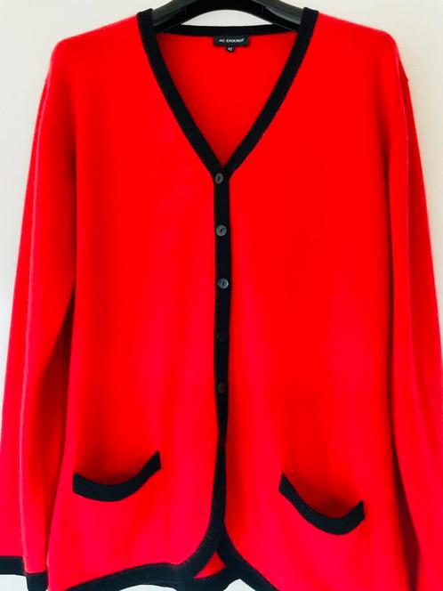 CASMERE / ZIJDE VEST A.C.COLLECTIE, Kleding | Dames, Truien en Vesten, Zo goed als nieuw, Maat 42/44 (L), Verzenden