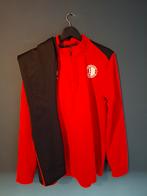 Feyenoord trainingspak 2023-2024, Kleding | Heren, Sportkleding, Nieuw, Ophalen of Verzenden, Voetbal, Rood