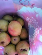 Onbespoten appels uit eigen boomgaard, Ophalen of Verzenden