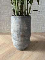 Hoge bloempot NIEUW Intratuin - 50cm hoog, 25cm diameter, Overige materialen, Rond, Binnen, Zo goed als nieuw