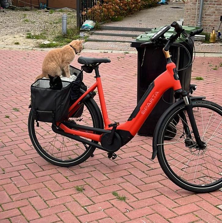 GESTOLEN Sparta C-grid, Fietsen en Brommers, Elektrische fietsen, Gebruikt, Sparta, 55 tot 59 cm, 50 km per accu of meer, Ophalen