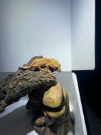 Gekko nova, Ophalen of Verzenden, Zo goed als nieuw