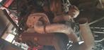 Motor polo 2f, Ophalen, Gebruikt, Dieselmotor, 1800 rpm of meer