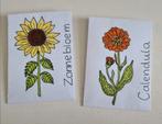 Zonnebloem, calendula/goudsbloem, lavendel & zonnehoed zaden, Ophalen of Verzenden, Zo goed als nieuw