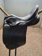 Albion 17,5 inch, Ophalen, Dressuur