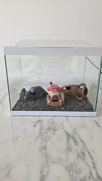 AQUARIUM + TOEBEHOREN !! beschikbaar voor biedingen