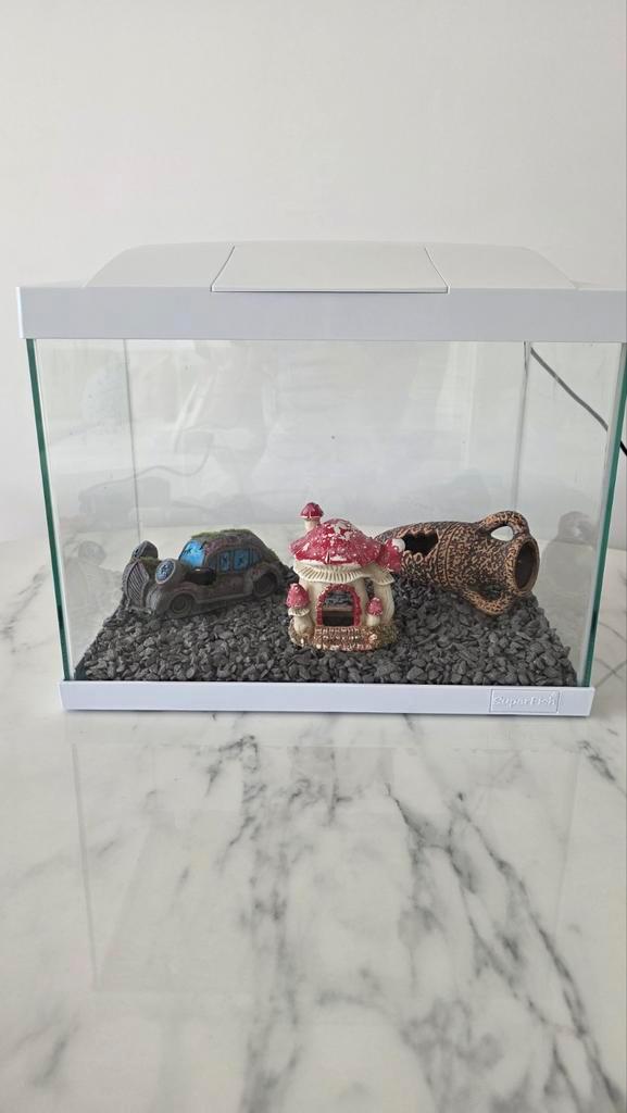 AQUARIUM + TOEBEHOREN !!, Dieren en Toebehoren, Vissen | Aquaria en Toebehoren, Ophalen