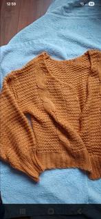 Nieuw okergeel kabel vest, maat XL, Ophalen of Verzenden, Nieuw, Maat 46/48 (XL) of groter, Geel