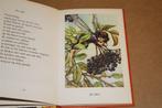 Bloemenkinderen van de herfst. Cicely Mary Barker., Ophalen of Verzenden, Gelezen