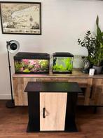 Aquarium kast met op maat gemaakte deur, Ophalen, Zo goed als nieuw