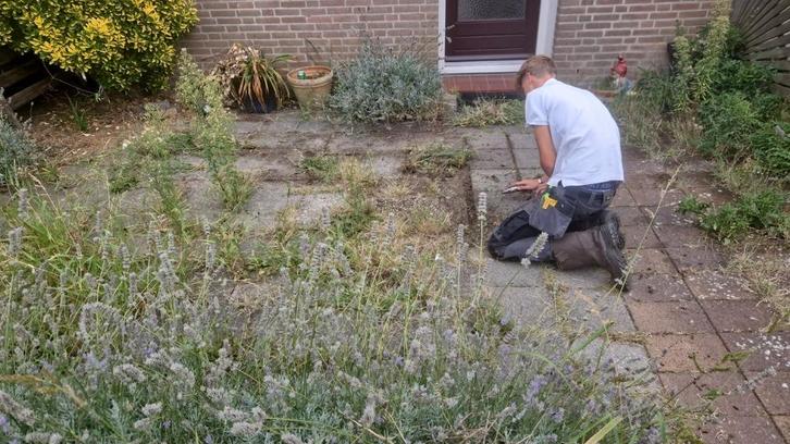 Tuinwerk aangeboden, Doe-het-zelf en Verbouw, Overige Doe-het-zelf en Verbouw, Ophalen of Verzenden