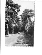 Loenen. Groenendaalseweg., Verzenden, 1940 tot 1960, Gelopen, Gelderland