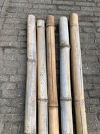 Bamboe palen, Ophalen of Verzenden, Palen