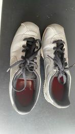 Zilverkleurige Nike sneakers maat 35-36, Jongen of Meisje, Schoenen, Ophalen of Verzenden, Zo goed als nieuw