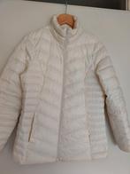 Dames jas Dons maat 40 zgan, Kleding | Dames, Jassen | Winter, Maat 38/40 (M), Overige kleuren, Ophalen of Verzenden, Zo goed als nieuw