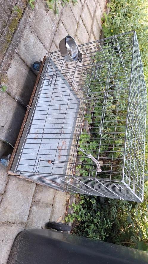 Hondenbench, Dieren en Toebehoren, Hondenbenches, Gebruikt, Ophalen