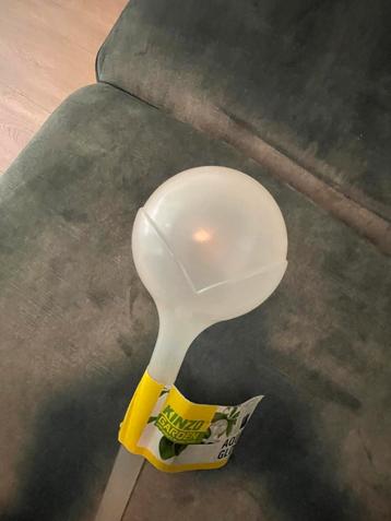 Kinzo Garden Aqua Globe - Planten Waterbol beschikbaar voor biedingen