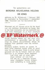 Jong de Berdina 1952 St Willebrord 1966 Roosendaal - 20720, Verzamelen, Bidprentjes en Rouwkaarten, Bidprentje, Ophalen of Verzenden