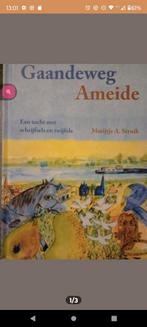 NIEUW Boek: Gaandeweg Ameide, Ophalen of Verzenden, 20e eeuw of later, Nieuw
