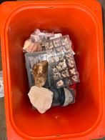 Natuurstenen, Fossielen & Schelpen Verzameling, Verzamelen, Mineralen en Fossielen, Ophalen, Fossiel
