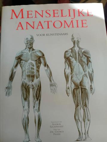 Menselijke anatomie voor kunstenaars.  beschikbaar voor biedingen