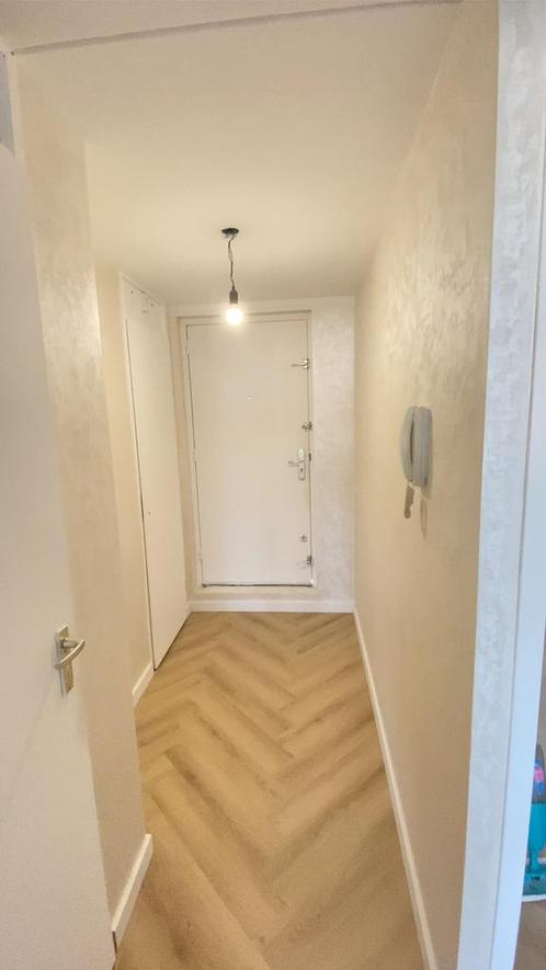 Schilder en yakout verf, Doe-het-zelf en Verbouw, Overige Doe-het-zelf en Verbouw, Nieuw, Ophalen of Verzenden
