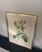 Vintage goudkleurige fotolijst met bloemenprint roos, Ophalen of Verzenden