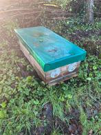 Bijenkast, topkast, spaarkast ramen, Dieren en Toebehoren, Insecten en Spinnen, Bijen