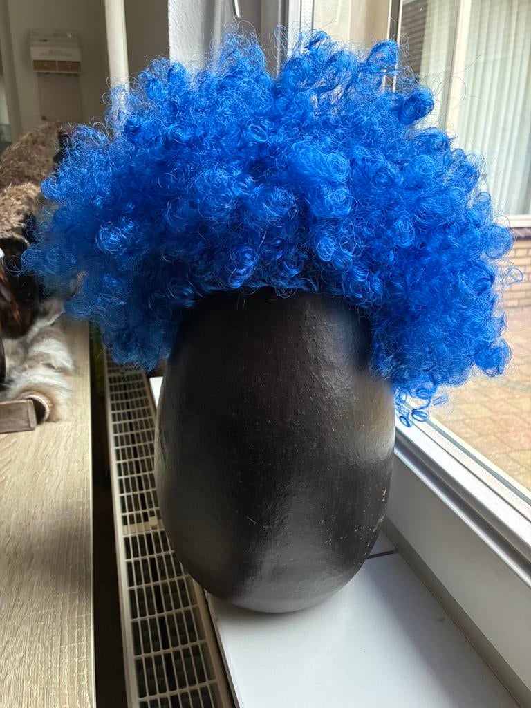 Blauwe pruik zgan, Ophalen of Verzenden, Zo goed als nieuw, Carnaval