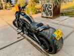 Brute Harley Night Rod Special | 300 achterwiel | Top Custom, Motoren, Motoren | Harley-Davidson, ABS, 2 cilinders, Chopper, Particulier