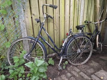 dames fiets beschikbaar voor biedingen