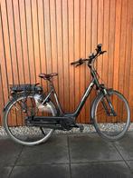 Pegasus | Siena | 28” | 55cm | 400wh | Bosch | E-bike, Fietsen en Brommers, 53 tot 56 cm, Ophalen of Verzenden, Zo goed als nieuw