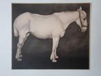 Paard, Jan Mankes, Heliogravure 1928, Antiek en Kunst, Kunst | Etsen en Gravures, Ophalen of Verzenden