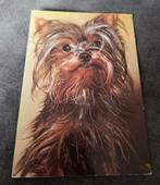 Yorkshire Terrier - Hond, Verzenden, 1980 tot heden