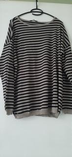 Trui merk Silver  maat 40. Nieuw., Maat 38/40 (M), Nieuw, Ophalen of Verzenden, Overige kleuren