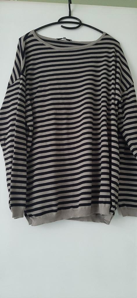 Trui merk Silver  maat 40. Nieuw., Kleding | Dames, Truien en Vesten, Nieuw, Maat 38/40 (M), Overige kleuren, Ophalen of Verzenden