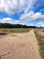 Kleinschalige paddock paradijs Rucphen, Dieren en Toebehoren, Stalling en Weidegang, Weidegang